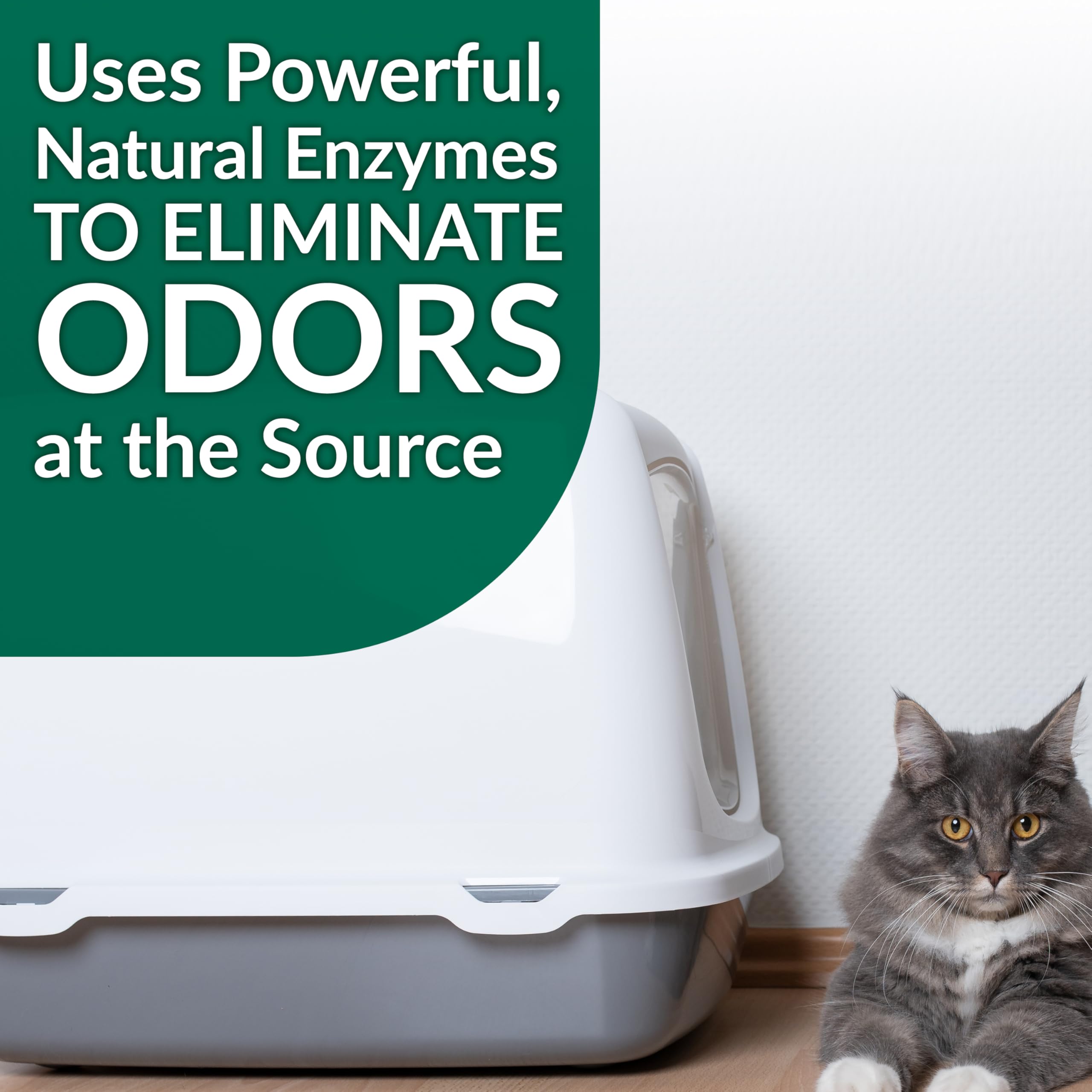 Simple Green Cat Stain & Odor Remover - Enzyme Cleaner for Cat Urine, Feces, Blood, Vomit (32 oz Sprayer & 1 gallon Refill) - Image 5