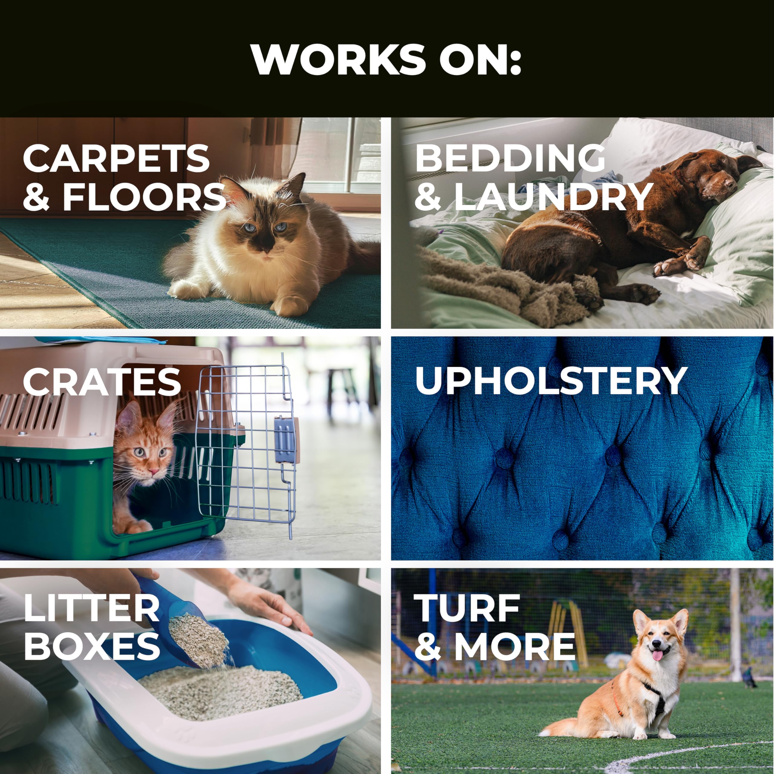 Simple Green Pet Stain and Odor Eliminator 32 oz - Image 4