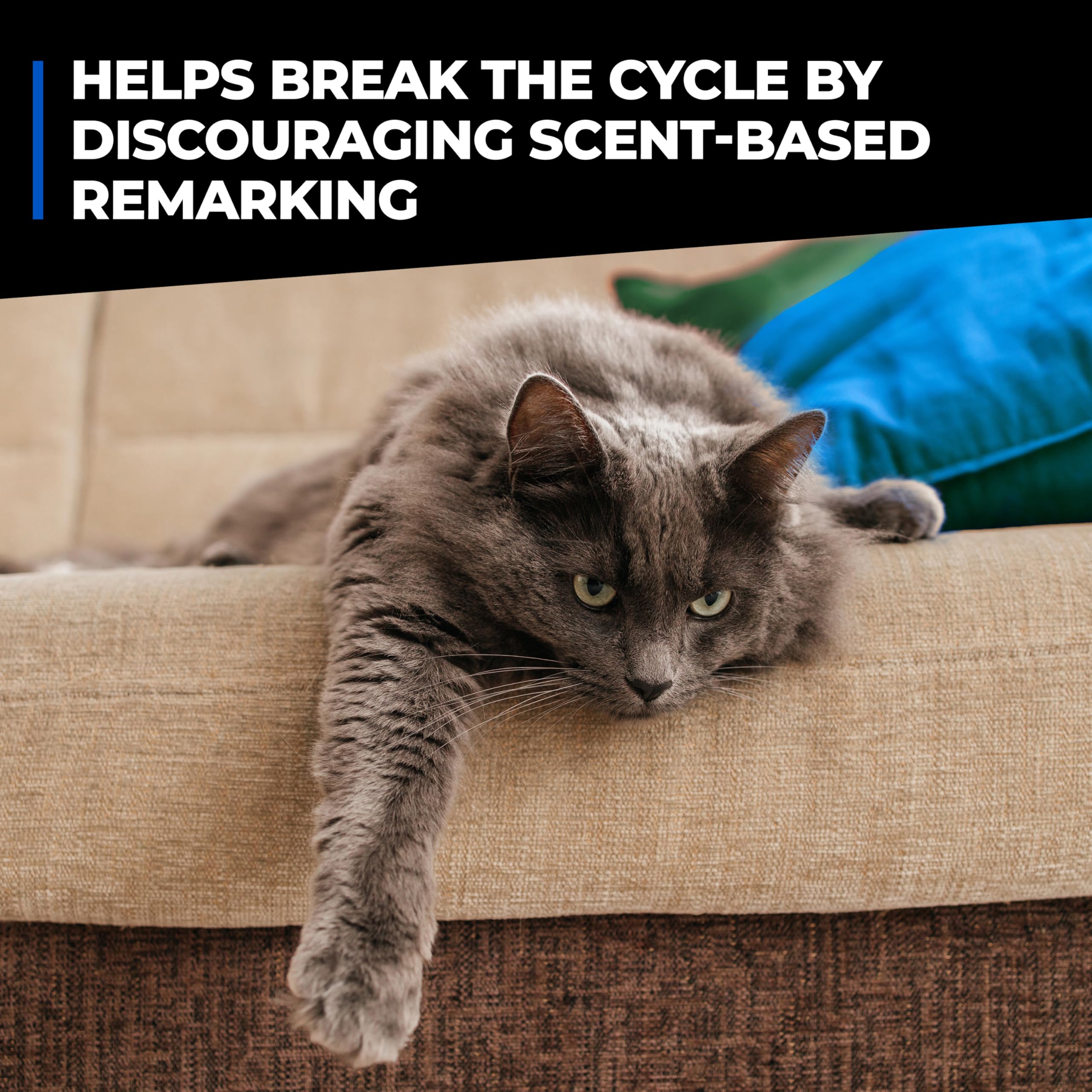 Simple Green Pet Stain and Odor Eliminator 32 oz - Image 6